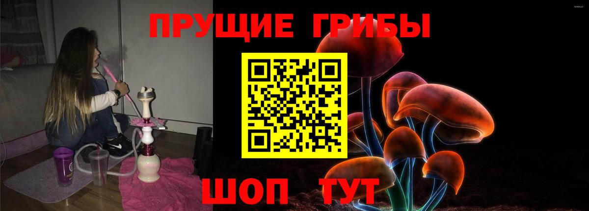 Псилоцибиновые грибы Psilocybe  Галлюциногенные грибы GOLDEN TEACHER  Верхняя Пышма  что такое   Вход с VPN 